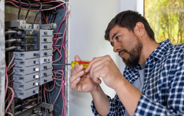 Best Electric Panel Repair  in Graysville, TN